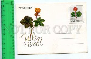 420812 NORWAY flowers berries postal COVER POSTAL stationery