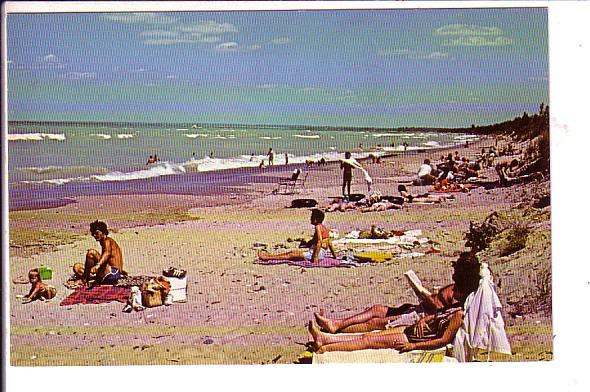 Beach, Great Lakes, Southern Ontario,  Bathing Suits, Sun Bathing