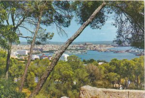 Spain Vista desde el bosque de Bellevr Palma Mallorca