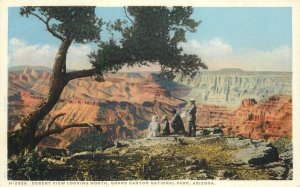 Postcard Arizona Grand Canyon Desert View Detroit Publishing Harvey 23-5464