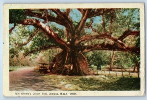 Jamaica B.W.I. Postcard Tom Crindle's Cotton Tree c1940's Posted Vintage
