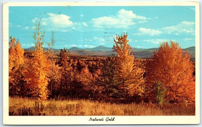 Postcard - Nature's Gold