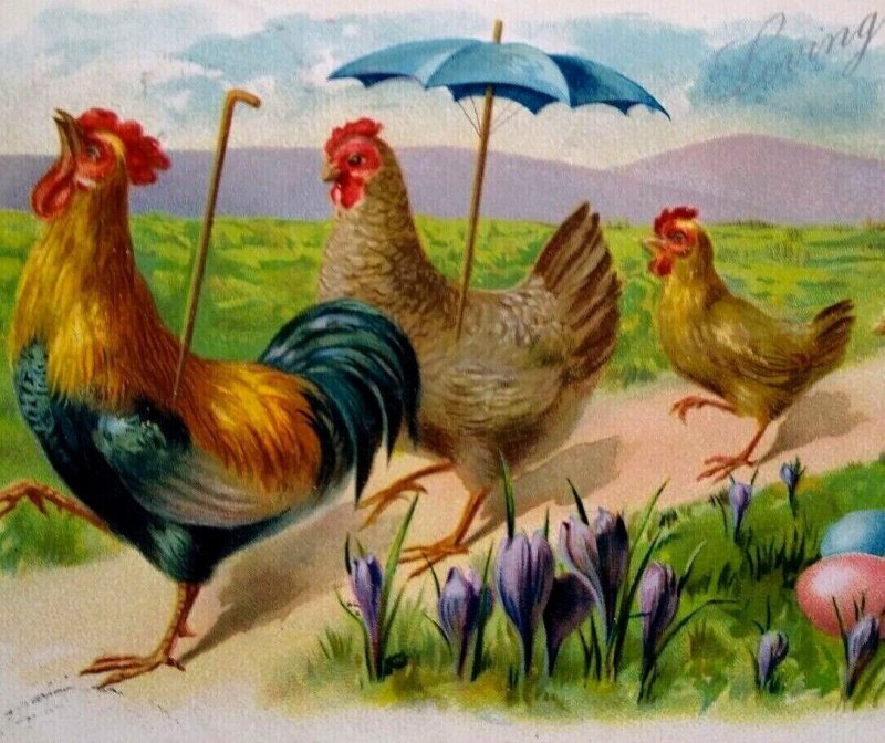 Easter Postcard Anthropomorphic Hens Rooster Marching Umbrella Tucks Series 111 