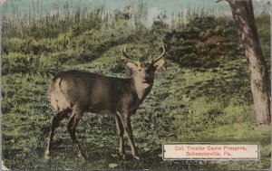 Postcard Col Trexler Game Preserve Schnecksville PA