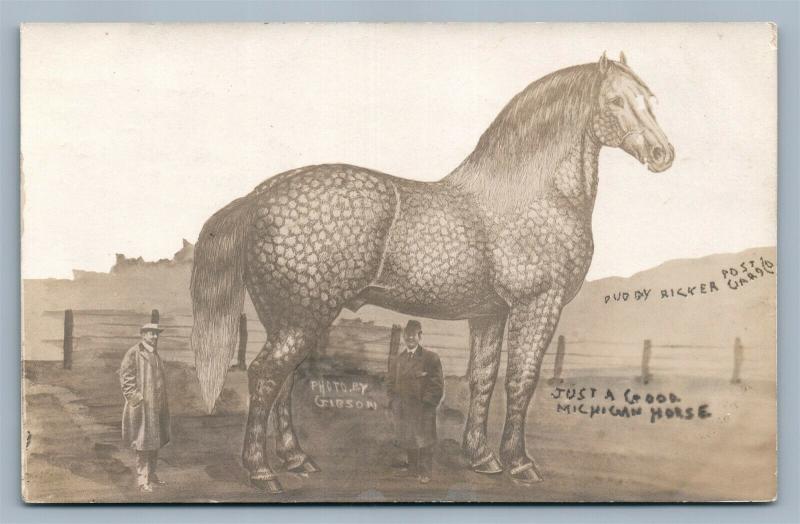 EXAGGERATED MICHIGAN HORSE ANTIQUE REAL PHOTO POSTCARD RPPC COLLAGE by GIBSON