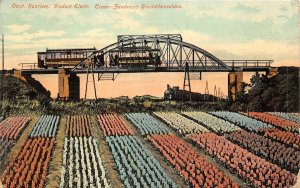 lot291 omst haarlem viaduct electr tram zandvoort hiacinthenvelden netherlands