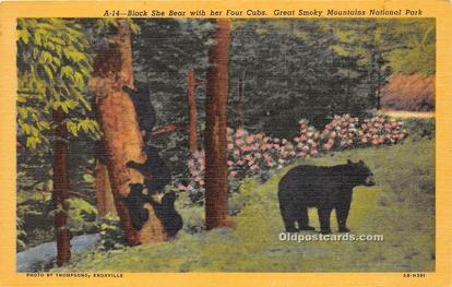 Bear Great Smoky Mountain National Park Unused 