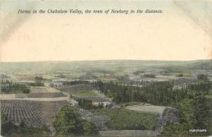 1909 Farms Chehalem Valley Newburg Oregon hand colored postcard 692