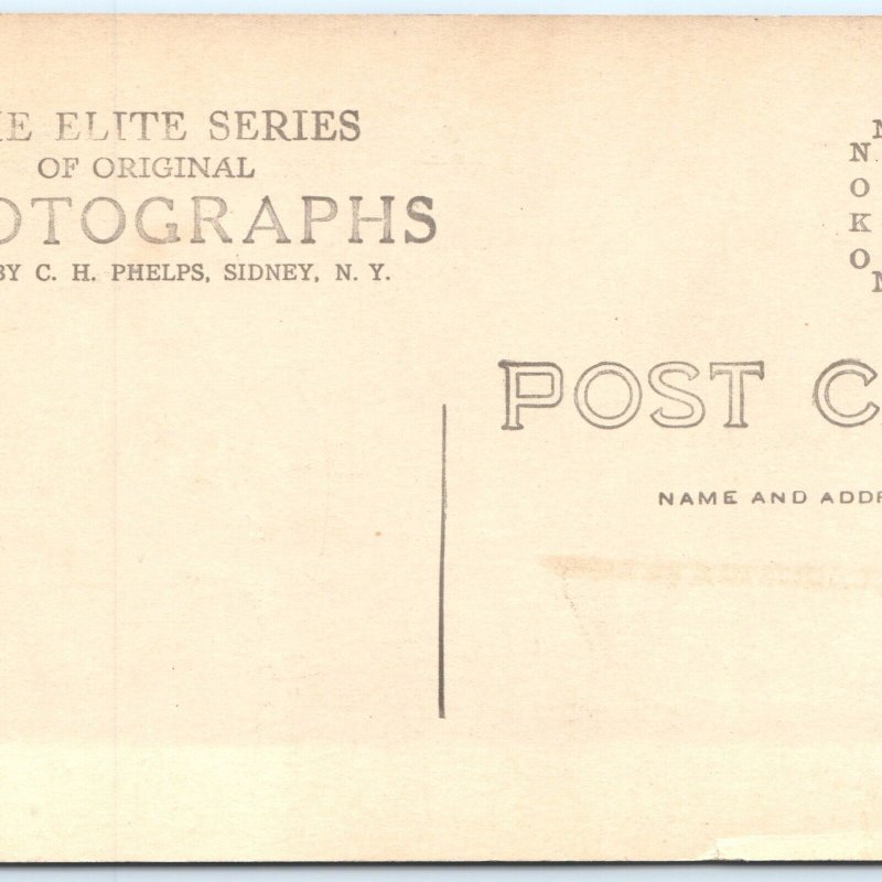 c1910s Watkins Glen, NY Long Exposure RPPC Entrance Cascade Photo Postcard A99