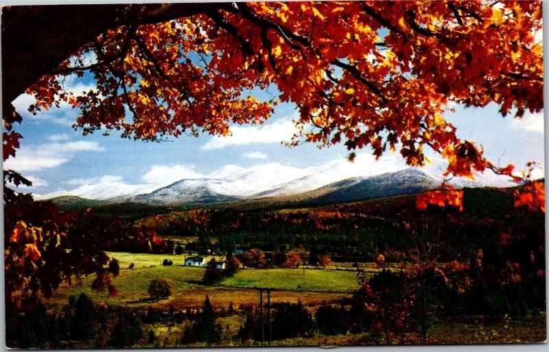 Postcard NY Foliage scene between Tupper Lake and Saranac Lake