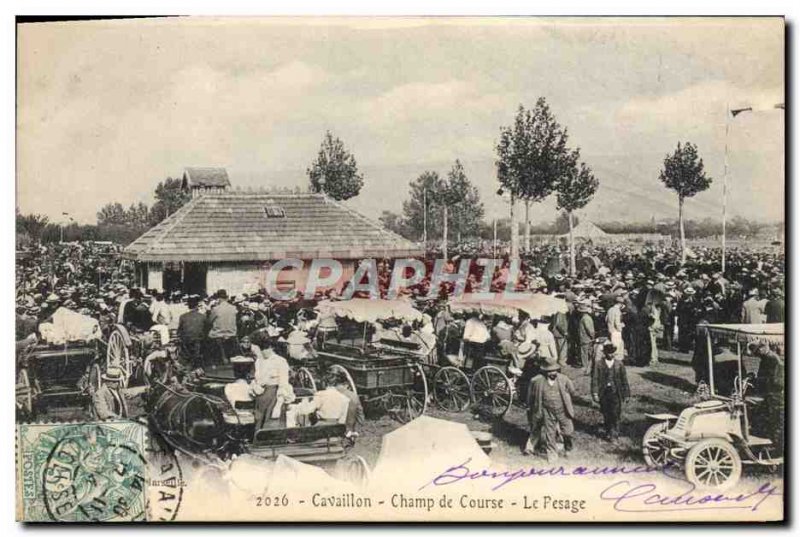 Old Postcard Horse Riding Equestrian Cavaillon Racetrack Le weighing TOP