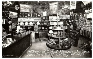 RPPC Postcard Interior World Famous Tree House Floor Space 101 Hwy