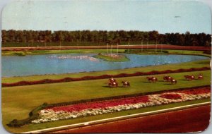Florida Miami Hialeah Race Course Parading To The Post 1954