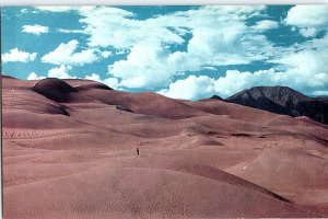 Chrome NATURE SCENE Yuma Arizona AZ AH9809