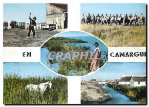 Postcard Modern B Rh Camargue The game lasso Gardians