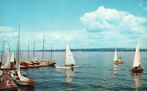 Postcard Preparing For The Day's Sailing Race Sailboats Resting Dexter Press Inc