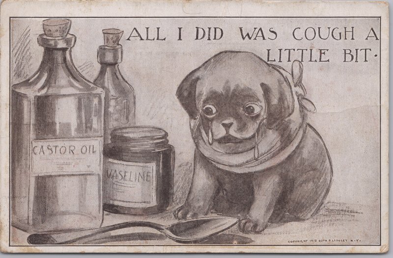 Roth & Langley, Cute puppy & Medicine All I did is cough a little bit -1911