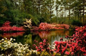 Alabama Mobile Bellingrath Gardens Mirror Lake