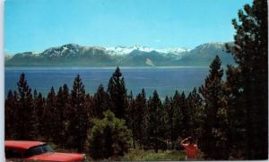 LAKE TAHOE, CA California   VIEW across LAKE MT TALLAC c1950s Car  Postcard