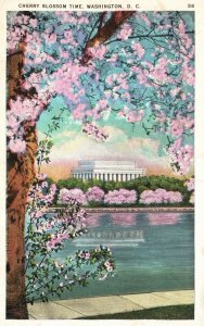 Vintage Postcard 1936 Japanese Cherry Blossoms Spring Time Washington DC 