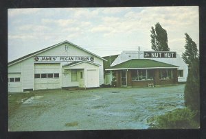 BRUNSWICK MISSOURI RIVER BOTTOMS PECAN FARM STORE ADVERTISING POSTCARD