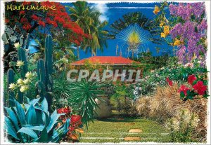 Postcard Modern French Antilles Martinique Tropical Garden