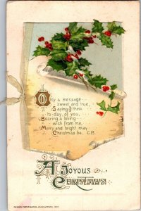 Joyous Christmas, Novelty, Front of Card Opens John Winsch Vintage Postcard N70