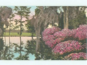 1920's GARDEN SCENE Summerville - Near Charleston South Carolina SC AF7107