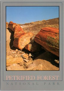 Postcard AZ Petrified Forest National Park