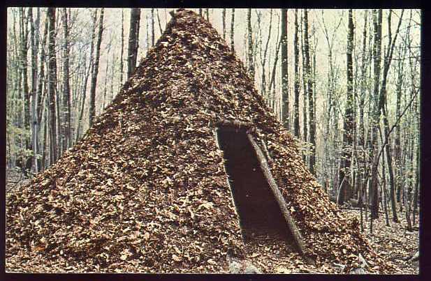 Collier's Hut, Catoctin Mountain Pk., Maryland Postcard N164