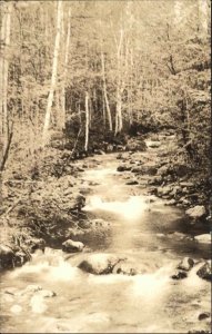 Scenic Stream Gold Stream by Arnold Trail Maine ME BICKNELL Real Photo Postcard