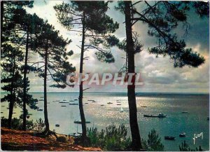 Postcard Modern Colors and Light from France Gironde Arcachon Crepuscule on t...