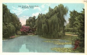 Vintage Postcard Lily Pond Forest Park Picturesque Nature Memphis Tennessee TN