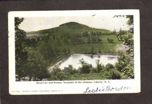 NY Water Reservoir Walnut Mountain Mtn Liberty New York UDB Postcard 1904