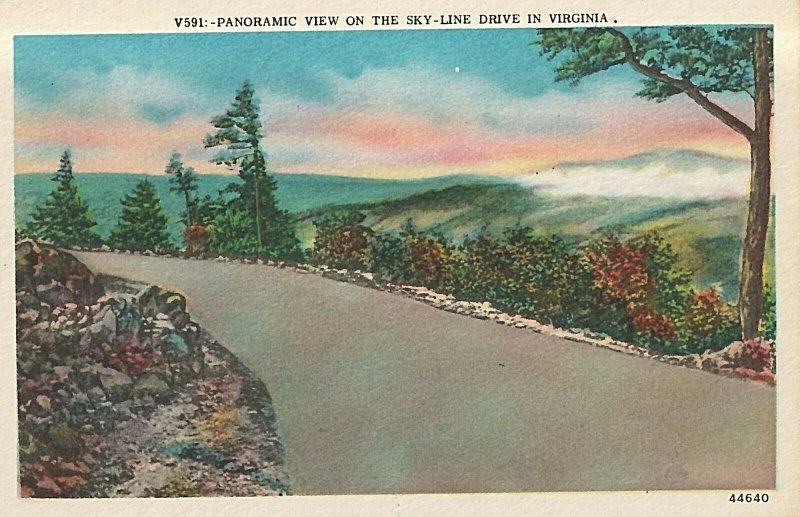 VINTAGE POSTCARD: MINT CONDITION THE SKYLINE DRIVE IN SHENANDOAH, VIRGINIA, MINT