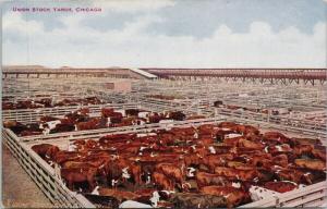 Union Stock Yards Chicago Illinois IL Cattle Cows Hammon Postcard E47 UNUSED