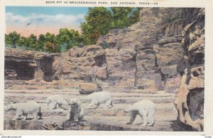 SAN ANTONIO, Bear Pit In Brackenridge, Texas, 30-40s