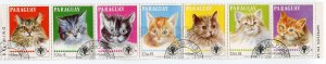 266259 Paraguay 1979 year used stamps CATS in strip