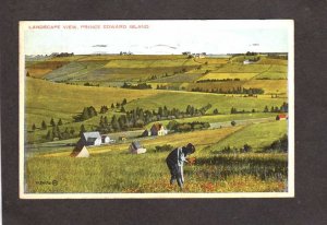 PEI Farmland Farms Field Flowers Prince Edward Island Canada Carte Postale