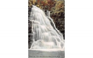 Bridal Veil Falls in Roxbury, New York