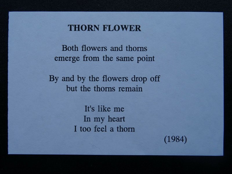 THORN FLOWER Paintings Poems by Japanese Disabled Artist Tomihiro Hoshino PC