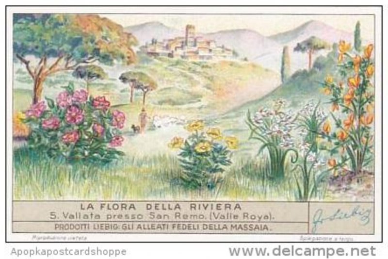 Liebig Trade Card S1354 Flora Riviera No 5 Vallata presso San Remo