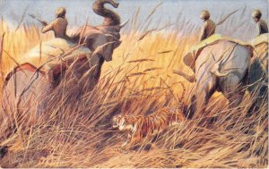 Lot 72 tiger hunting elephant uk painting postcard oilette sport
