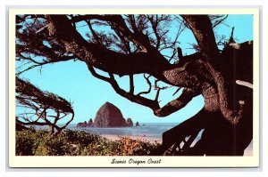 Scenic Oregon Coast Postcard