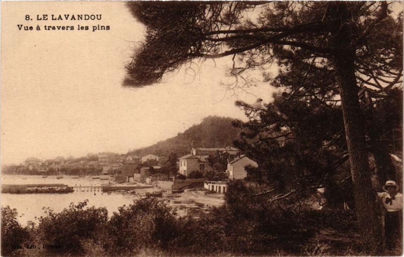 CPA Le LAVANDOU - Vue a travers les pins (635234)