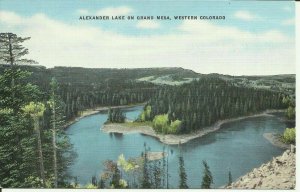 Alexander Lake On Grand Mesa, Western Colorado