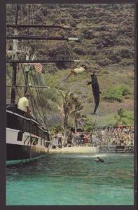 Sea Life Park,Whaler's Cove,Oahu,HI Postcard 