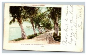 Vintage 1903 Private Mailing Card Boat and The Walk at Palm Beach Florida
