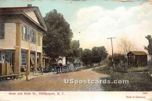 Store and Main Street Phillipsport NY 1913
