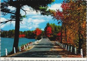 'Autumn Drive' Road Unknown Location Unused Vintage Postcard D55